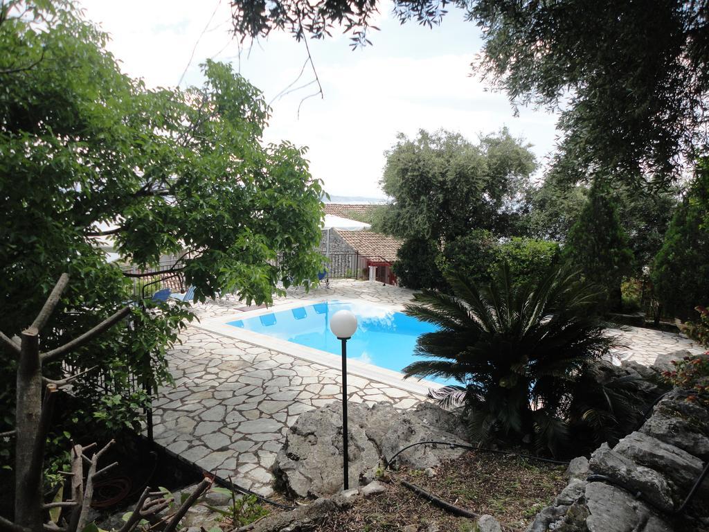 Chrysoula
